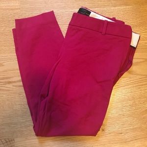 J. Crew Minnie Pant in Magenta Color Sz 6